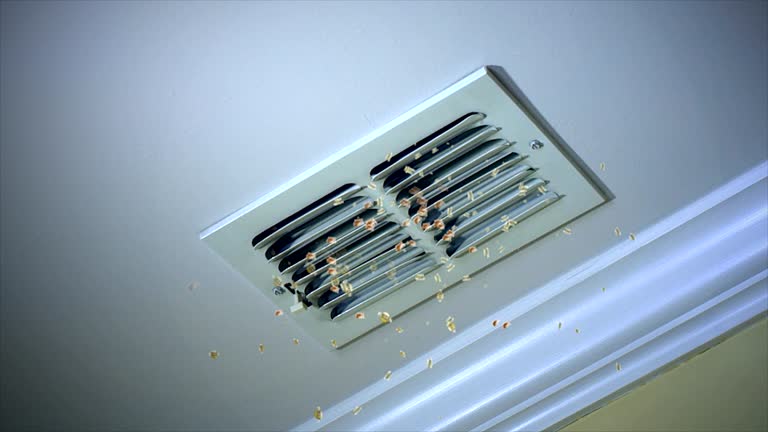 Best Best Air Duct Cleaning Company  in New Baltimore, MI